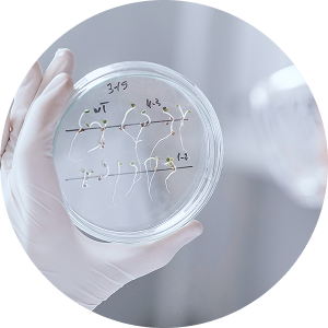 Аллергология