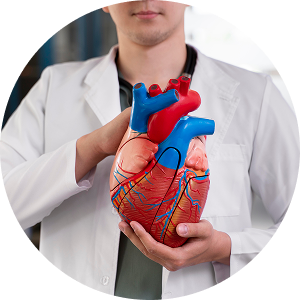 Кардиология